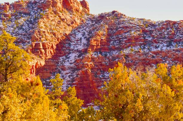 istock Zion National Park 1359929422