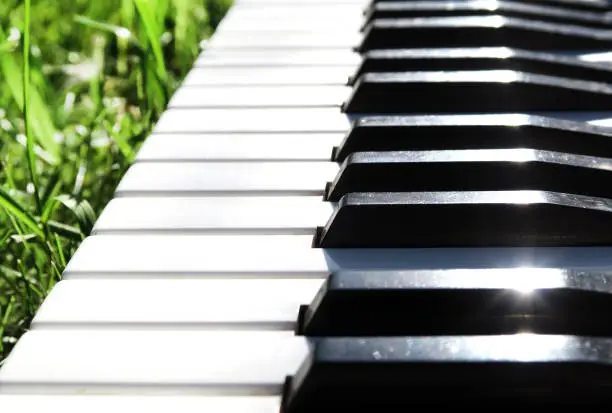 Piano Keyboard closeup on the Green Grass with a Sunlight