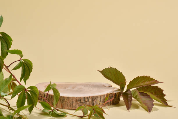 istock A stage with a showcase made of natural wood. 1359934793