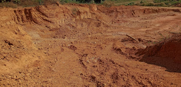 istock the ground was destroyed in the forest 1359938896
