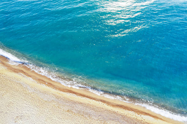 An aerial view of the beach in summer