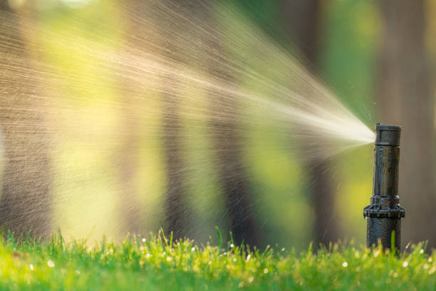istock Nozzle automatic lawn watering macro close up 1359944981