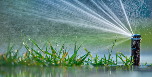 istock Nozzle automatic lawn watering macro close up 1359944993