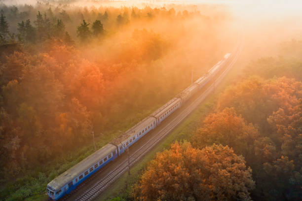 istock Dawn over the forest through which the railway line runs. 1359945869
