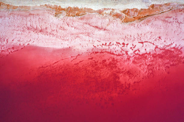 istock Pink lake water and salt top view 1359947157