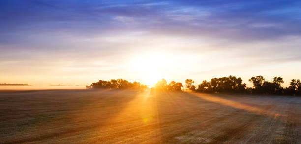 istock Autumn forest at dawn on a mountain slope. Long shadows from the trees. 1359948050