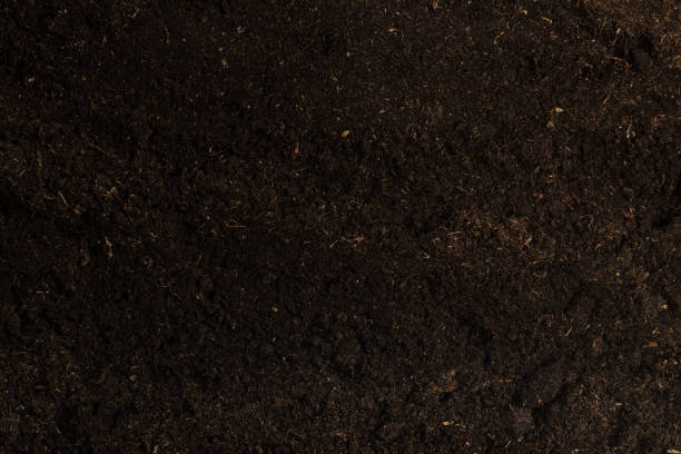 istock Soil for plant isolated on white background. 1359950836