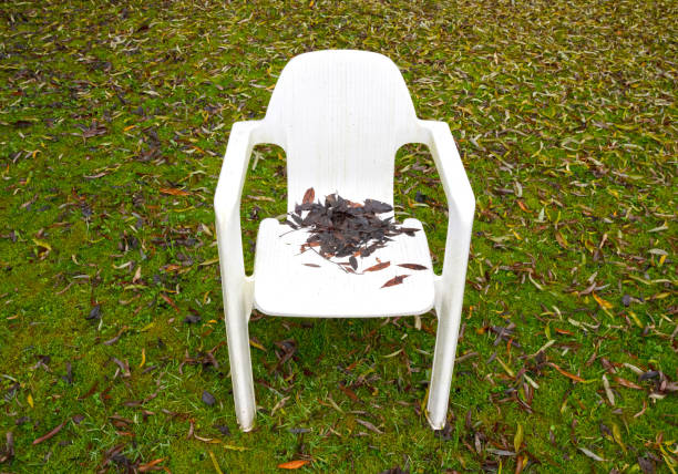 White chair with leaves on it, selective focus