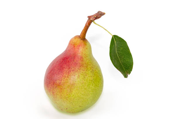 Pear of Bartlett variety on a white background Single ripe red yellow pear of Bartlett variety with small leaf on a pear tail on a white background bartlett pear stock pictures, royalty-free photos & images
