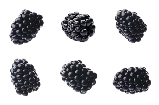 Set of ripe blackberries on white background