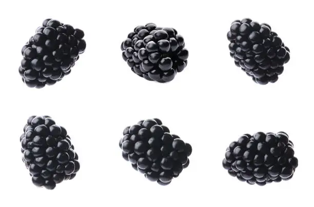 Photo of Set of ripe blackberries on white background