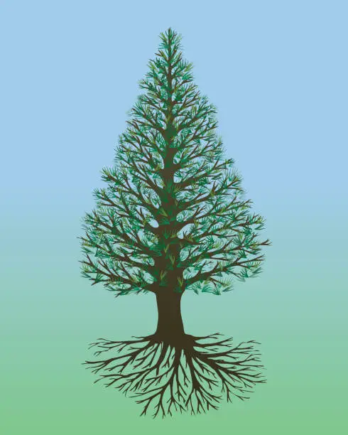 Vector illustration of Tree of life with pine needles pointed shape