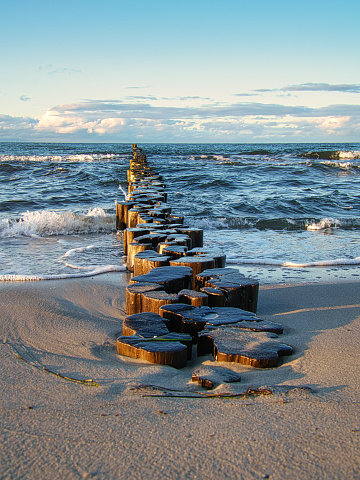 Groynes on shore of the Baltic Sea in Graal Mueritz, Germany.