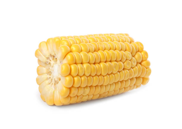 istock Piece of ripe raw corn cob isolated on white 1359963171