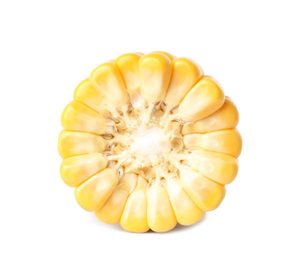 istock Piece of ripe raw corn cob isolated on white 1359963885
