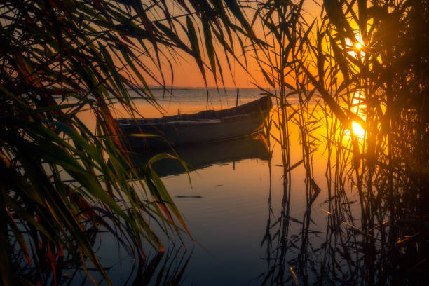 manhã de verão em um lago no delta do danúbio na romênia - cloud morning delta landscape - fotografias e filmes do acervo