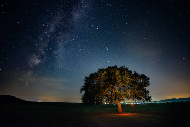 Milky Way shot at night with a lonely oak tree in the foreground and city lights in the background stock photo