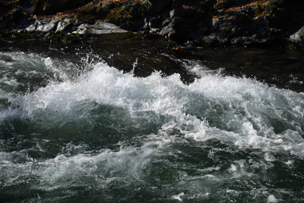 salpicadura de agua en el río de montaña - splash mountain fotografías e imágenes de stock