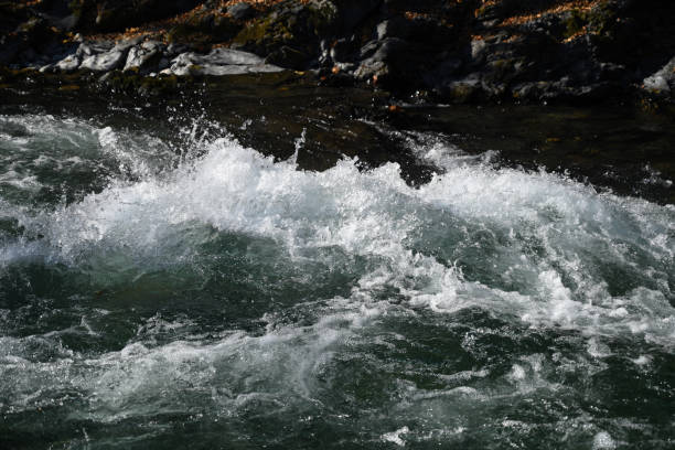 istock Splash of water in mountain river 1359964369