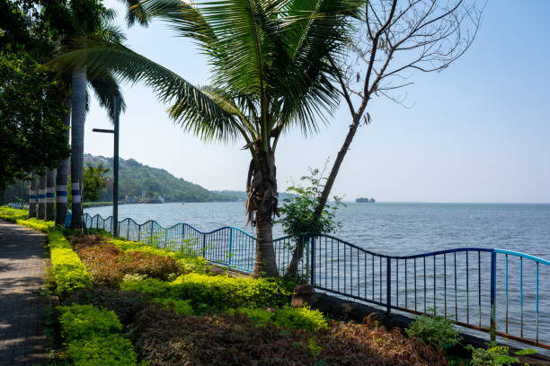 bela vista do lago upper, bhopal, madhya pradesh, índia. - bhopal - fotografias e filmes do acervo