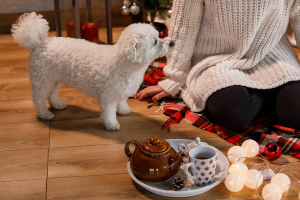 istock Dog keeping his owner company while she is enjoying some tea 1359967808