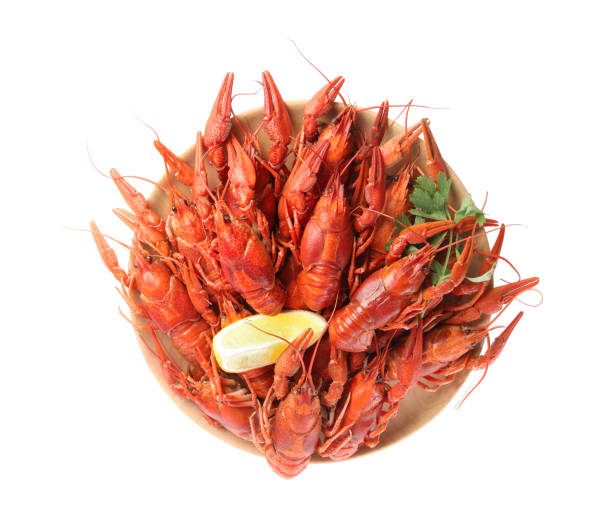 istock Plate with delicious boiled crayfishes isolated on white, top view 1359971687