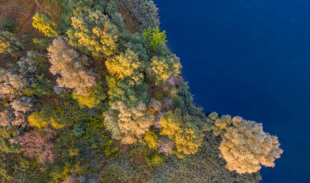 istock A small island on the lake with yellow autumn trees. 1359971901