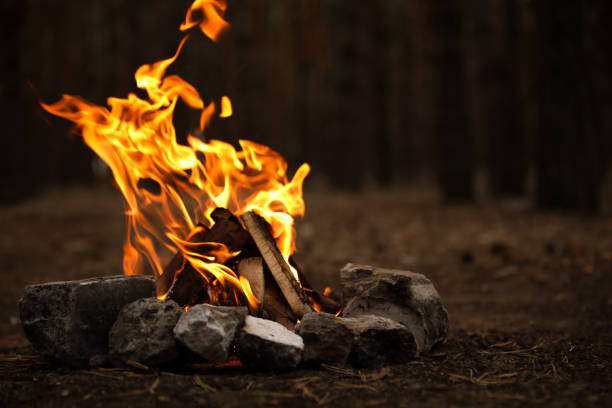 istock Beautiful bonfire with burning firewood in forest 1359972378