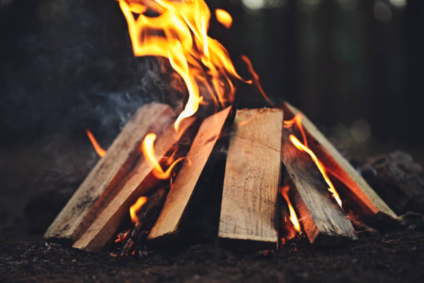 istock Beautiful bonfire with burning firewood in forest, closeup 1359973744