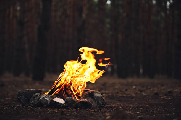 istock Beautiful bonfire with burning firewood in forest 1359973745