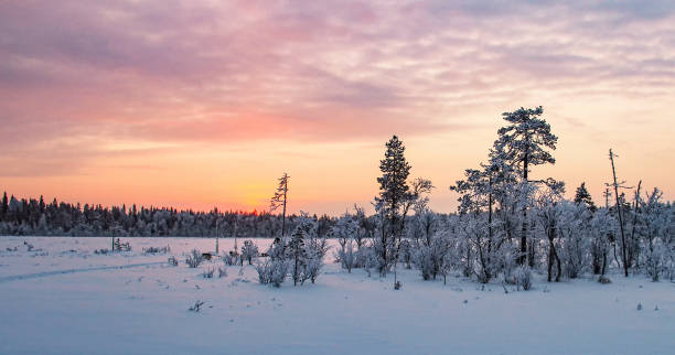 istock Views of the fields in Lapland in Winter 1359974197