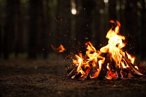 istock Beautiful bonfire with burning firewood in forest. Space for text 1359974295