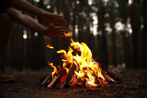 istock Man warming hands near burning firewood in forest, closeup 1359975046