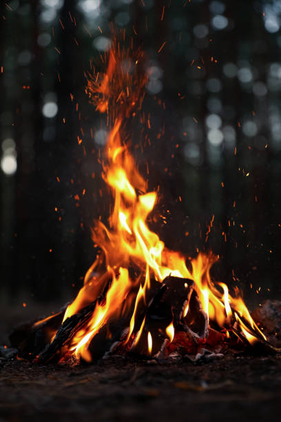 istock Beautiful bonfire with burning firewood in forest 1359975109