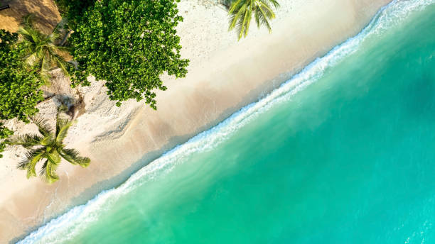 istock Top view of background with  the Tropical beach paradise 1359975180