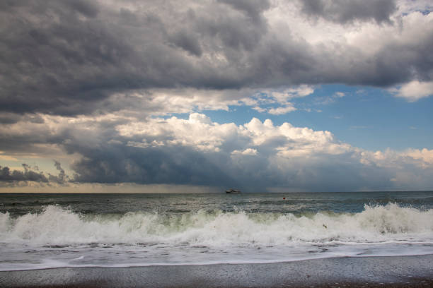 Marine landscape