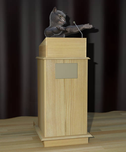 istock Cat speaking from a high tribune on dark 1359976198