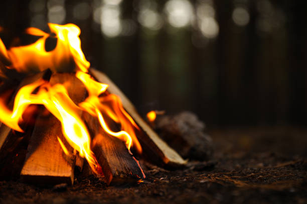 istock Beautiful bonfire with burning firewood in forest, closeup. Space for text 1359976367