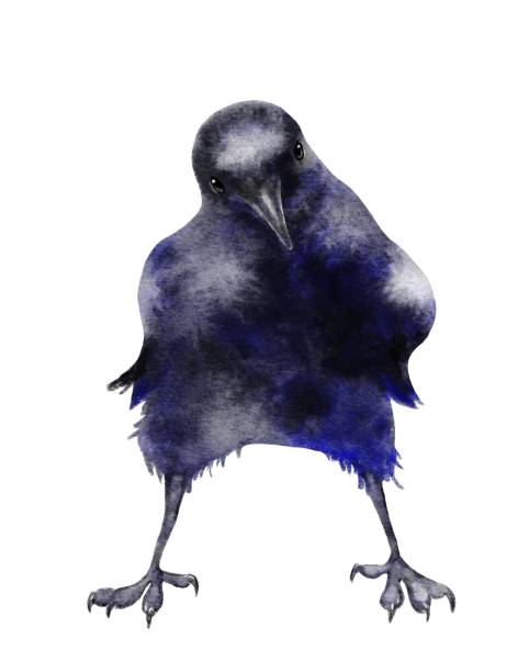 istock Watercolor Funny Crow Raven Bird Painting Illustration 1359977904