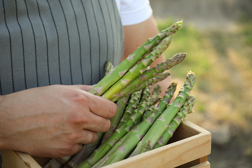 Man holding wooden crate with fresh raw asparagus outdoors, closeup