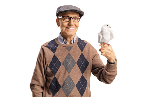Portrait of an elderly man with a white dove on his hand isolated on white background