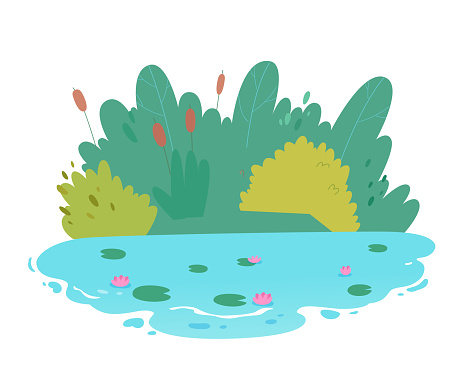 Lake, river or pond landscape with green grass and reeds vector illustration. Cartoon wildlife scene with freshwater lily flowers floating on blue water of natural park or garden isolated on white