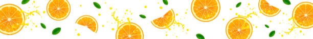 горизонтальный баннер с сочным оранжевым - orange spray fruit leaf stock illustrations