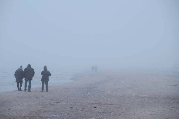 istock Walk on the beach in the fog 1359988166