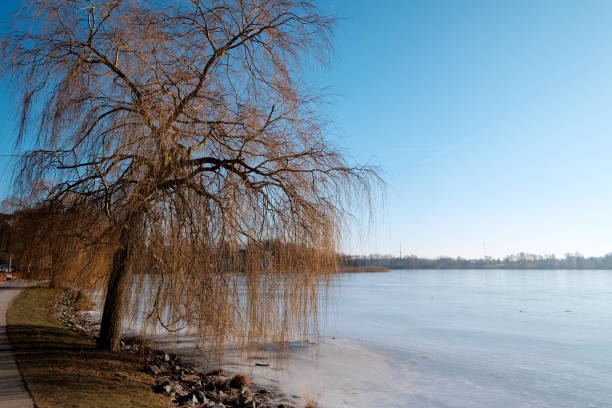 istock The Schloonsee near Bansin / Germany 1359988256