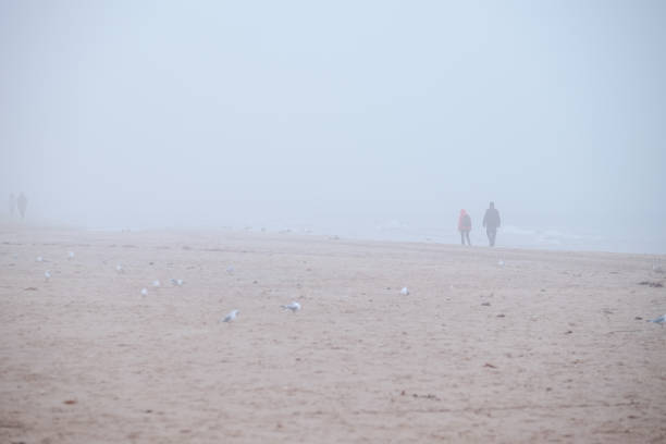 istock Walk on the beach in the fog 1359988651