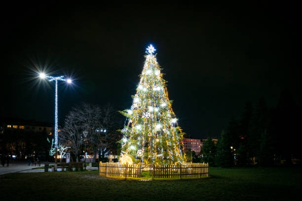 istock Big outdoor christmas tree festive 1359989491