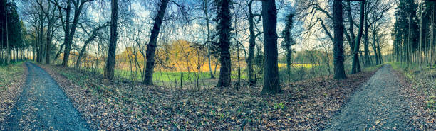 istock A path next to a forest and a river in winter. 1359992210