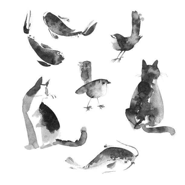 ilustrações de stock, clip art, desenhos animados e ícones de sumi-e painting animals. cat, fish and bird. beautiful hand drawn illustration - east china