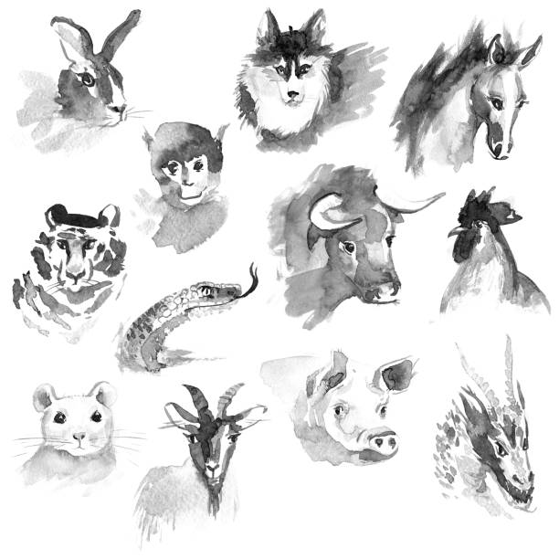 ilustrações, clipart, desenhos animados e ícones de animais do zozdiak chinês sumi-e. símbolos da coleção do ano. - painted image traditional culture art dragon